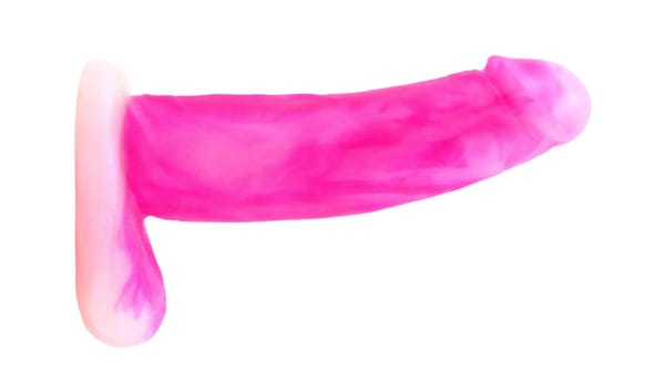 Satisfy Your Cravings with the Vixskin Bandit Realistic Dildo